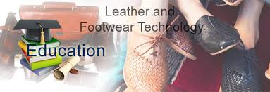 DIPLOMA IN LEATHER AND FOOTWEAR TECHNOLOGY